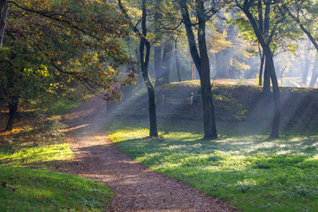 shadows, rays and colours autumn in the park
