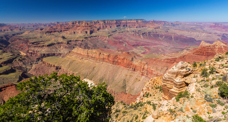 Bright scenery in the Grand Canyon National Park, with red stone formations and clear blue sky