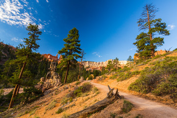 Beautiful sunrise over Bryce Canyon, Utah, USA