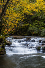 Waterfall in Autumn - Campbell Falls, Camp Creek State Park, West Virginia