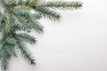 Branch of Christmas trees. On a wooden background. Top view. Free space for your text.