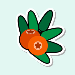 Mountain Ash Sticker On Blue Background Colorful