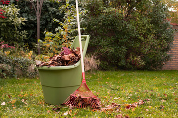 Autumn garden works