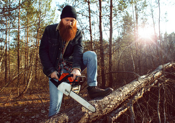 a woodcutter (lumberjack) works with a saw in the forest