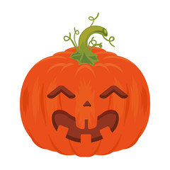 pumpkin hallooween decorative icon