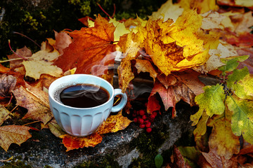 Autumn background with a cup of tea