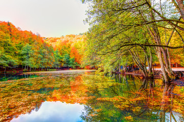 Yedigoller National Park, Bolu