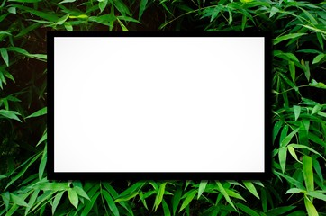 white blank board or advertising billboard for your text message or media content with bamboo leaves nature background, commercial, marketing and advertising concept