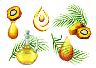 Palm oil simbols set. Watercolor hand drawn illustration