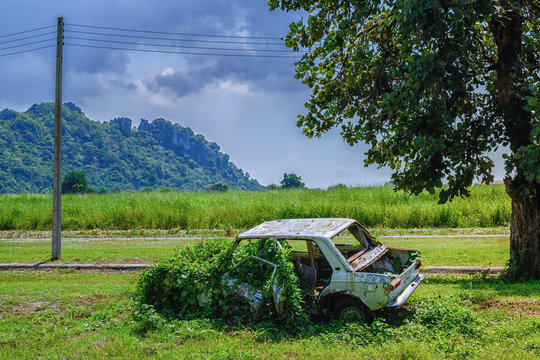 Rusty car wreck, Derelict old car is overgrown with grass, An old rusted out scrap car that has been abandoned mountains under the Tree