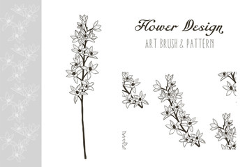 Flower Design. Art Brush and Pattern. Vector