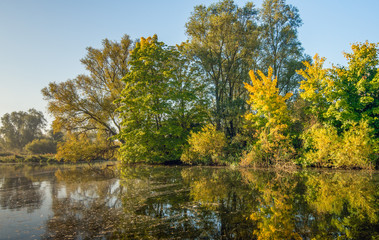 Fototapeta na wymiar Trees in autumnal colors reflected in the water
