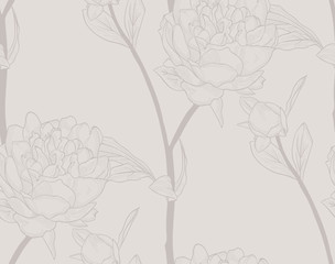 Vector Pink Seamless Pattern with Drawn Flowers, Peony