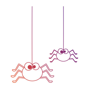 cute spiders hanging halloween decoration