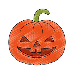 pumpkin hallooween decorative icon