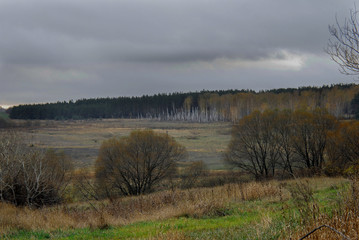 Fototapeta premium Autumn field.