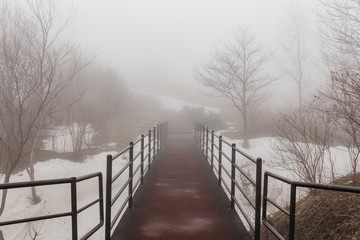 Walkway with Leafless trees and snow on the ground with fog at Mount Usu in winter in Hokkaido, Japan.