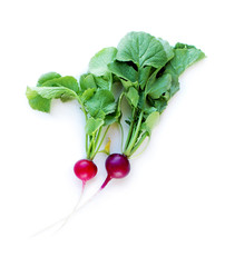 Radish