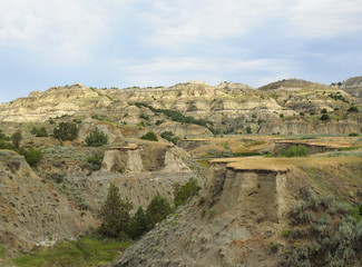 Fototapeta premium Eroded Landscape of Theodore Roosevelt National Park, Northern Unit