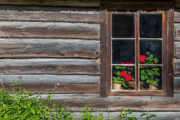 Ancient window with flowers old wooden house. Background of wooden walls