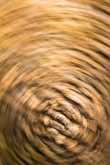 Abstract nature background of bark of tree trunk in motion blur
