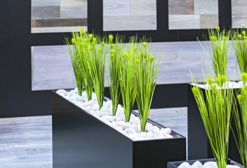 office decor green plants in a black rectangular pot