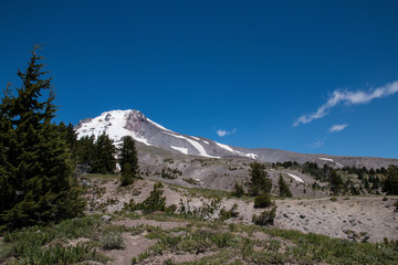 Mountaintop with Snow in Summer