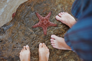 Starfish, sea star and legs men and women.