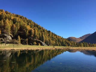 paesaggio autunno lago modella foglie colori 