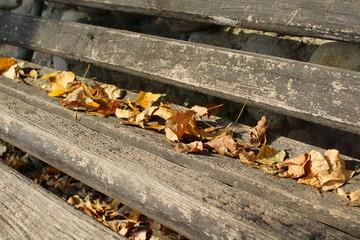 vecchia panchina al parco in autunno