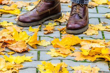 Legs in leather brown boots among fallen maple leaves on a gray concrete pavement. Walk in the autumn park.
