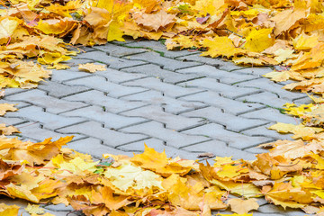 The fallen maple leaves are creatively folded on a concrete pavement. Autumn background with blank...