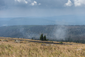 The landscape of mountain in Harz, Germany