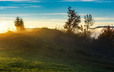 foggy sunrise in mountainous countryside. beautiful autumn scenery with trees, fences and red foliage on a hill in glowing fog under the blue sky