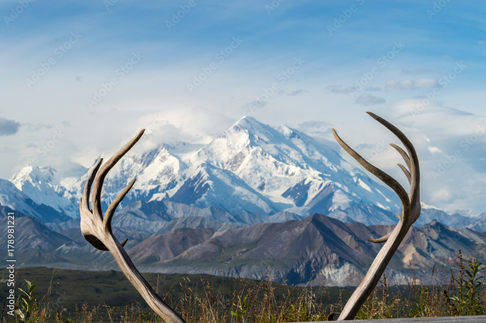 Wall mural deer horns with mount mckinley in the background, denali national park, alaska