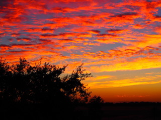 Fototapeta premium OLYMPUS DIGITAL CAMERA