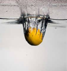 Fresh Lemon