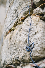 arianna where are you?