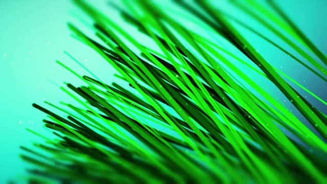 Underwater animated background of green sea grass. 4K UHD slow motion video loop.