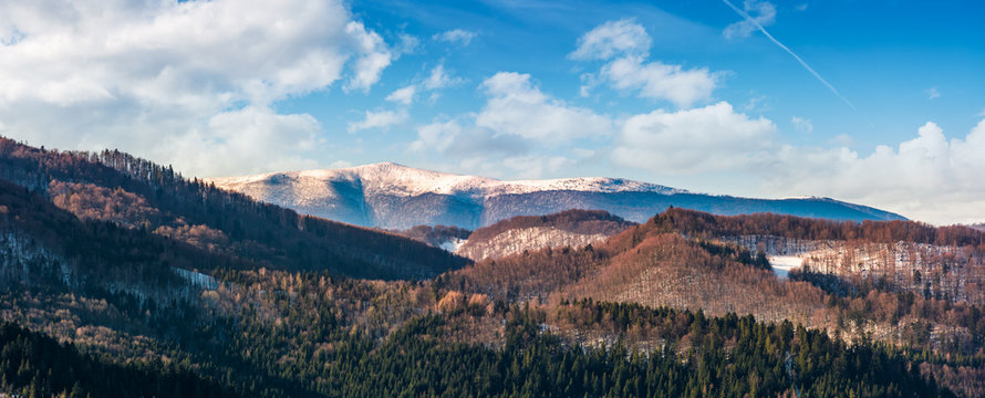 panorama of mountain ridge with snowy top. beautiful forested rolling hill on a bright winter day