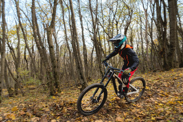 Fototapeta na wymiar a young rider driving a mountain bike rides at speed downhill in the autumn forest.