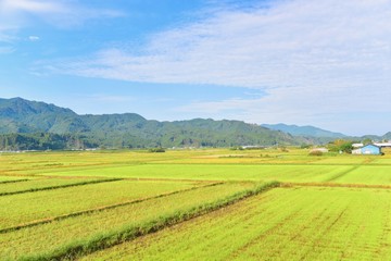 Fototapeta na wymiar Peaceful Countryside Scenery in Japan