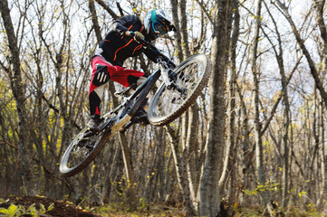 a young rider at the wheel of his mountain bike makes a trick in jumping on the springboard of the downhill mountain path in the autumn forest