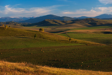 Fototapeta premium Beauty summer evening in the Altay mountains