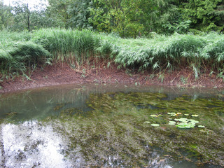 pond in Apple di siusi