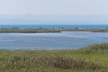 Paisaje del Delta del Ebro