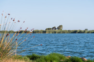 Paisaje del Delta del Ebro