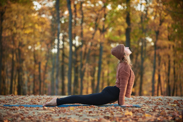 Beautiful young woman practices yoga asana upward facing dog on the wooden deck in the autumn park.