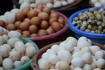 Farm fresh eggs