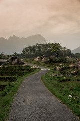 Afternoon Road